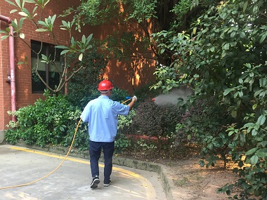 增城除四害机构夏日小区防蚊消杀策略