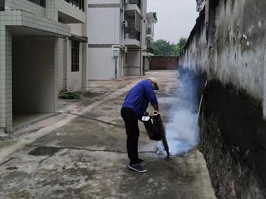 白云除虫灭鼠中心治理厂区蟑螂蚊蝇的方法